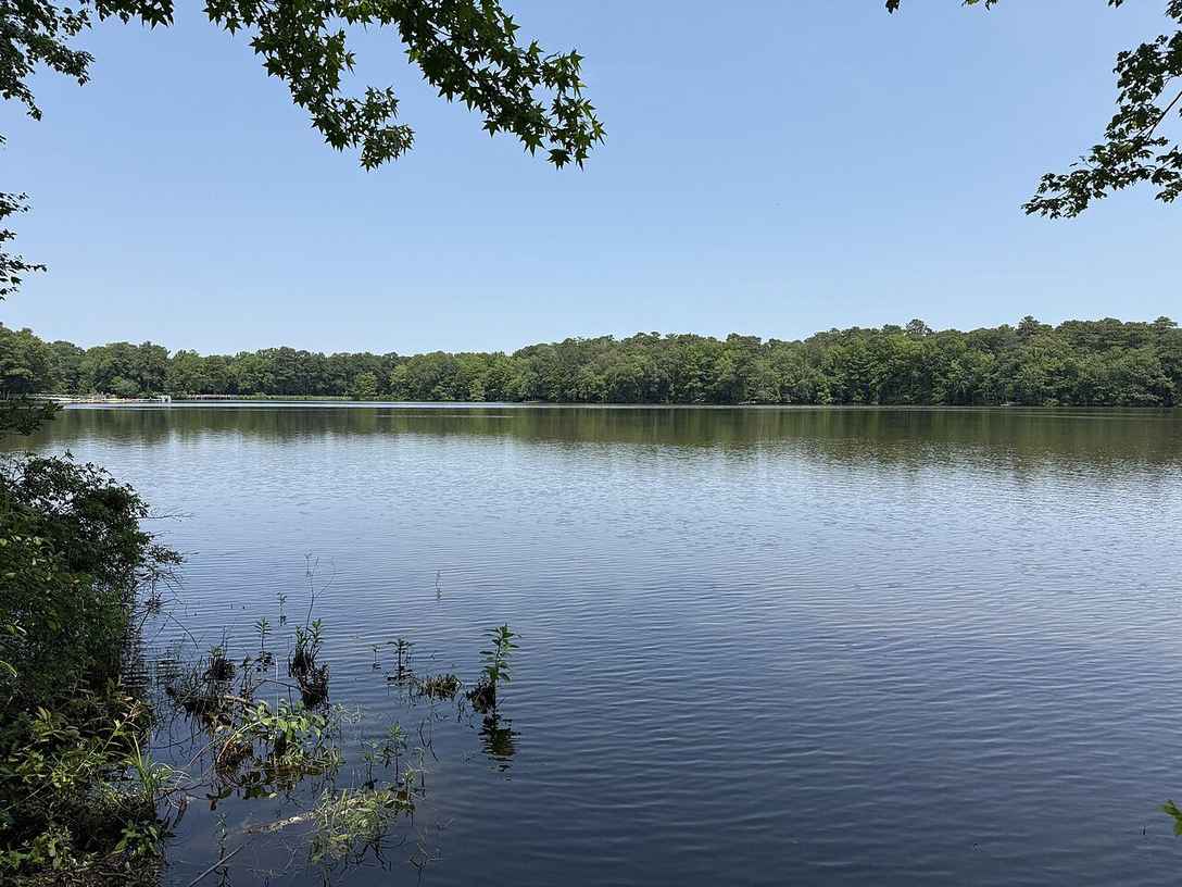 Open water view across Trap Pond from the shoreline, Trap Pond State Park, Delaware