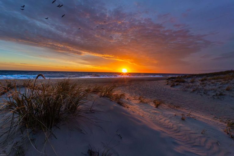 Dawn over the dunes and beach at Cape Henlopen State Park, Sussex County, Delaware