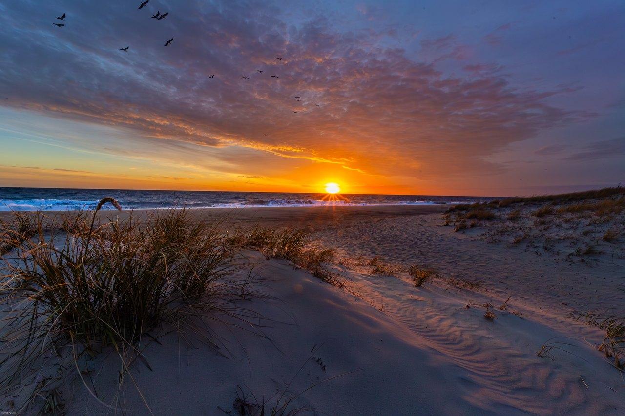 Sunrise over the dunes and beach at Cape Henlopen State Park, Sussex County, Delaware