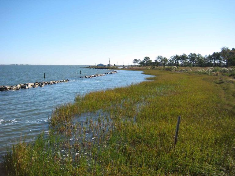 Indian River Bay viewed from Holts Landing State Park, Sussex County, Delaware