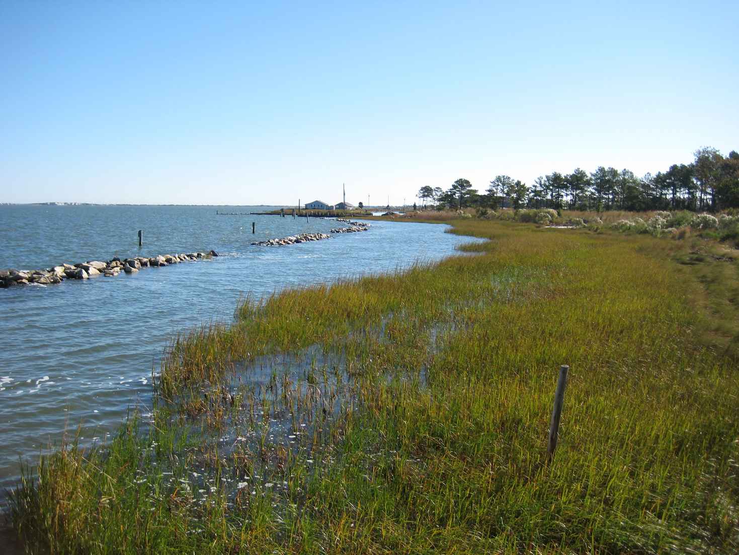 Indian River Bay viewed from Holts Landing State Park, Sussex County, Delaware
